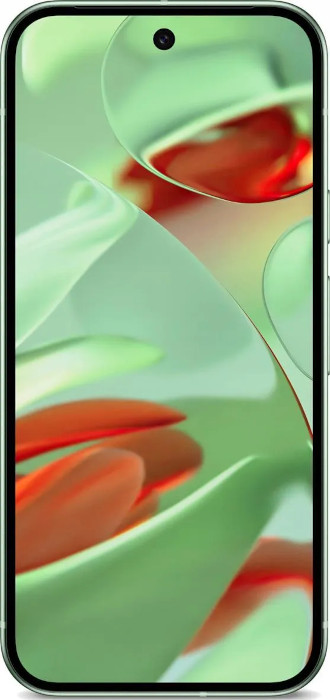 Google PIXEL 9 Zielony